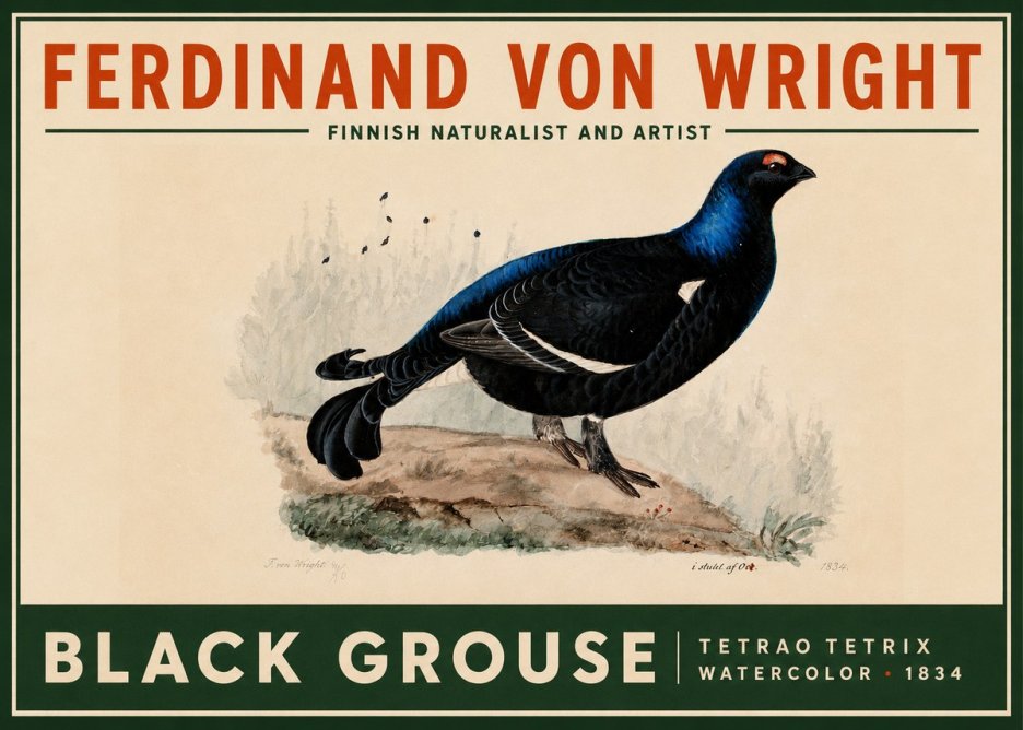 Ferdinand von Wright Black Grouse No2 - Póster