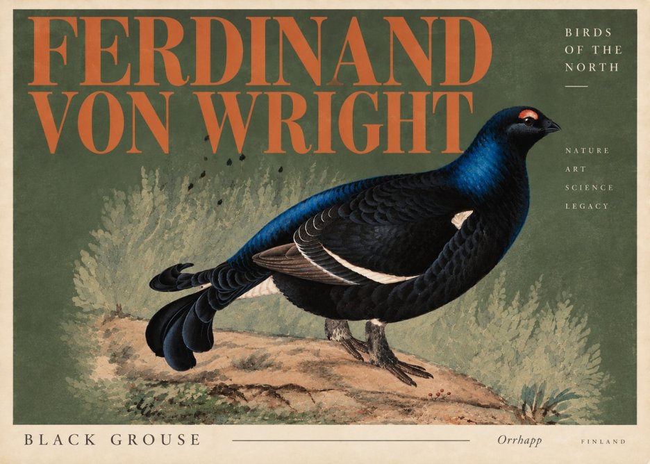 Ferdinand von Wright Black Grouse No6 - Póster