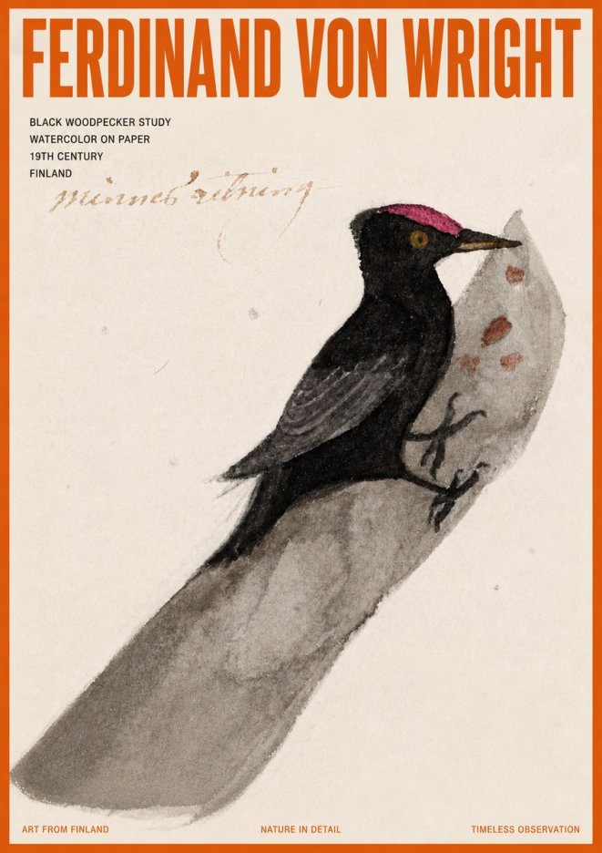 Ferdinand von Wright Black Woodpecker Study No5 - Póster