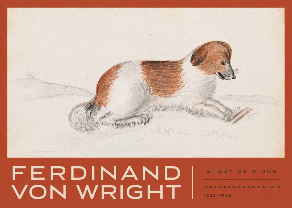 Ferdinand von Wright Study of a Dog No3 - Póster