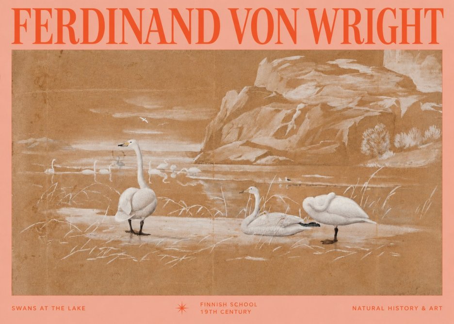 Ferdinand von Wright Swans at the Lake No2 - Póster