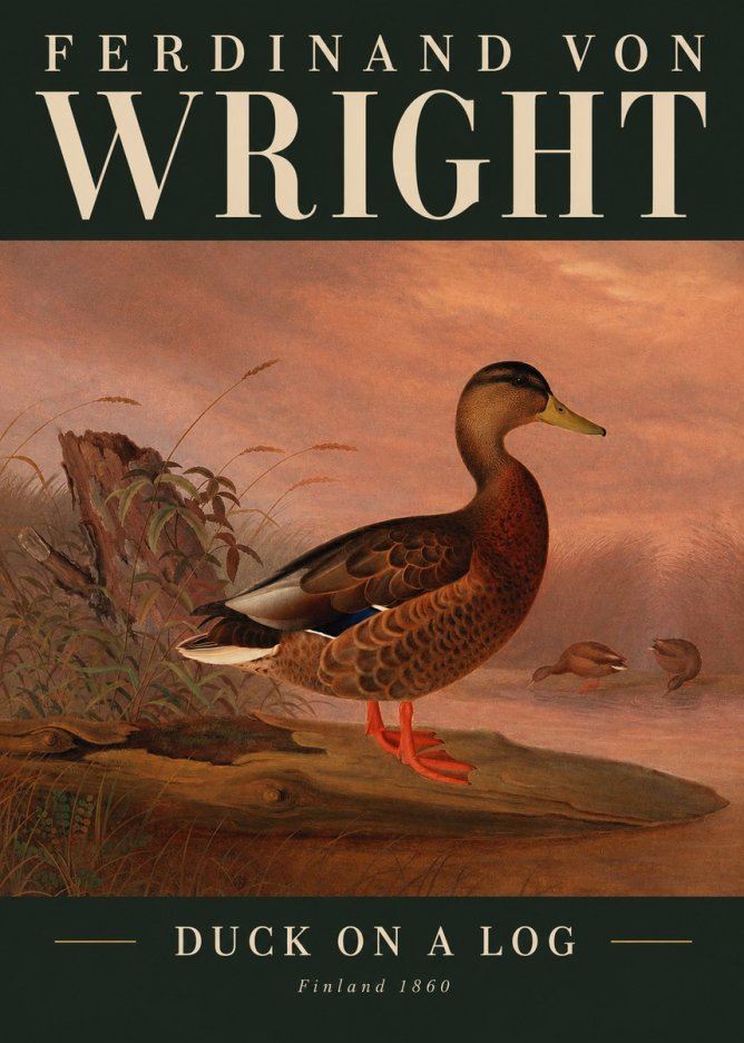 Ferdinand von Wright Wild Duck No3 - Póster