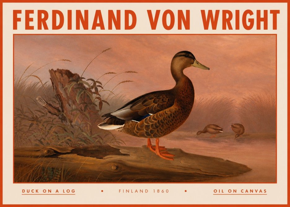 Ferdinand von Wright Wild Duck No5 - Póster