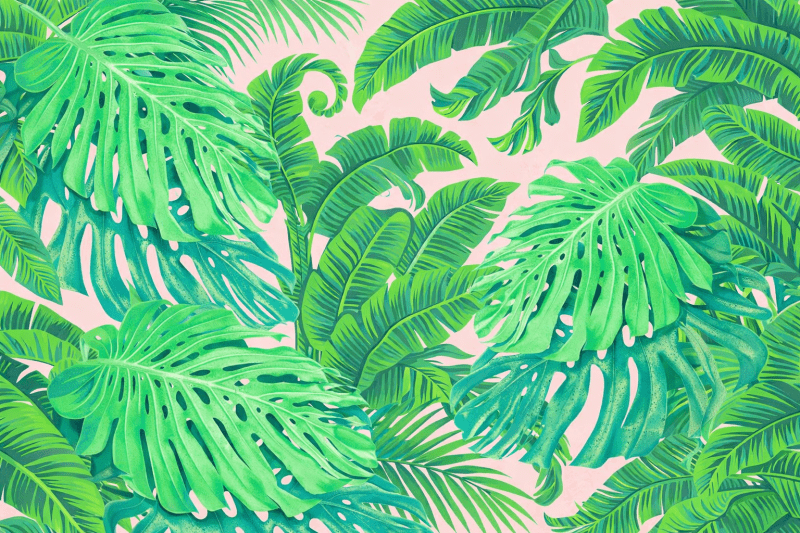 Uploaded
wallpaper