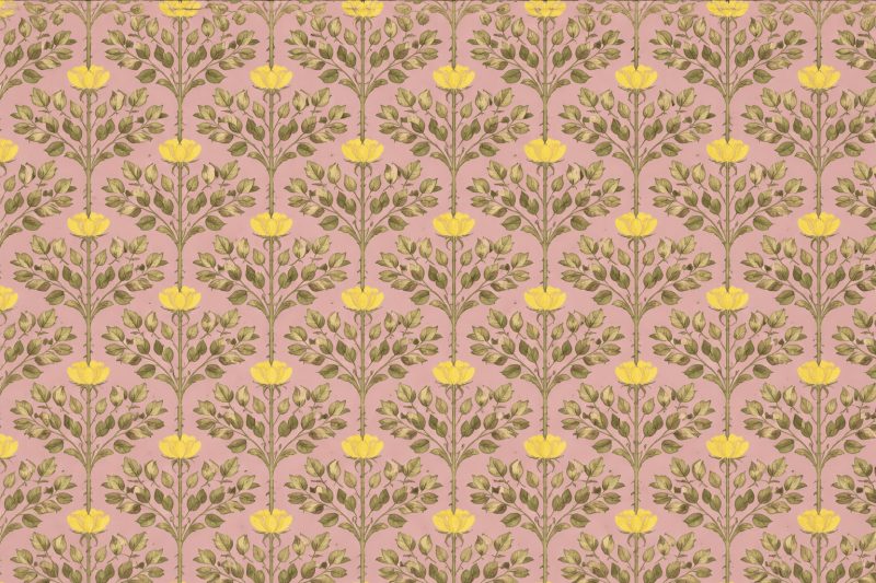 Uploaded
wallpaper