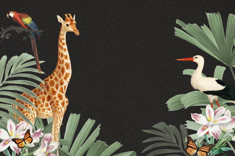 Uploaded
wallpaper