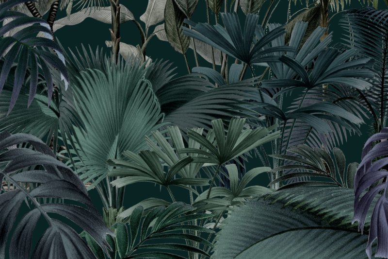 Uploaded
wallpaper