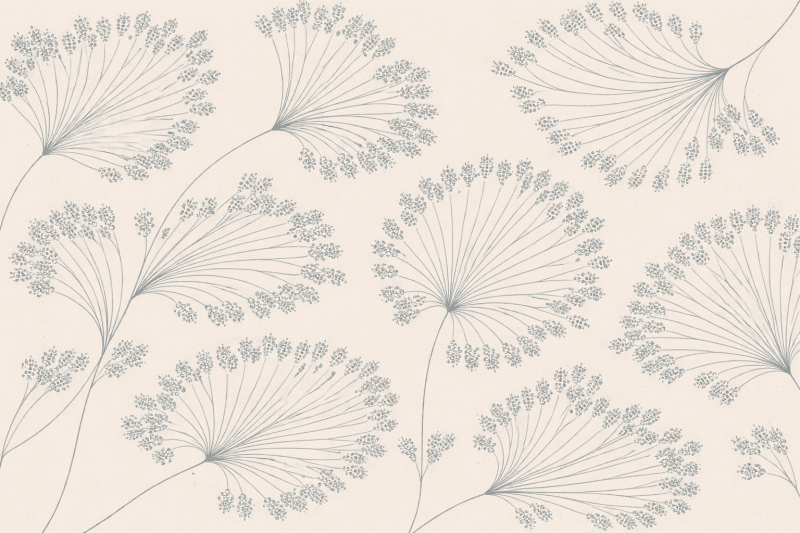 Uploaded
wallpaper