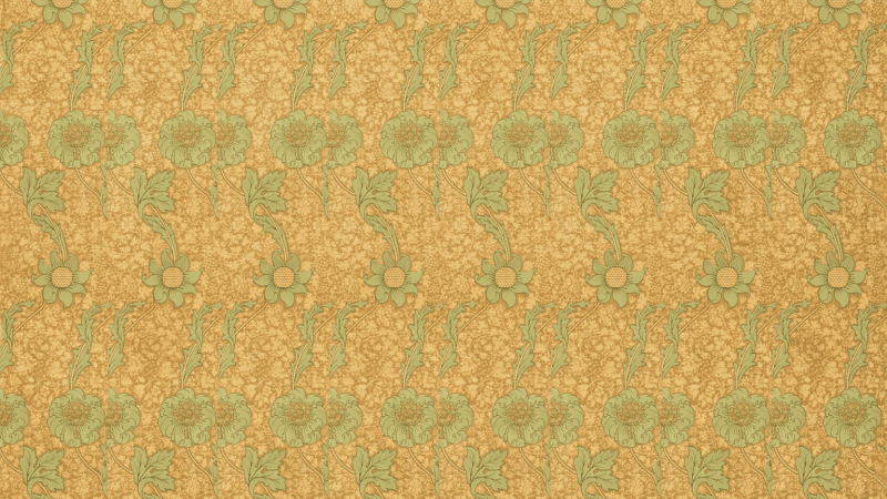 Uploaded
wallpaper