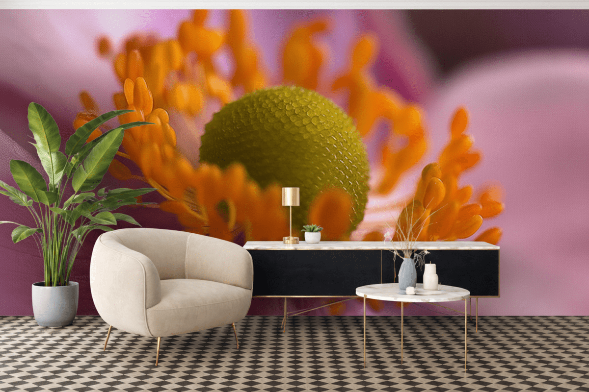 Petal Radiance Ii