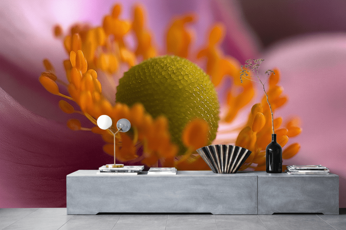 Petal Radiance Ii