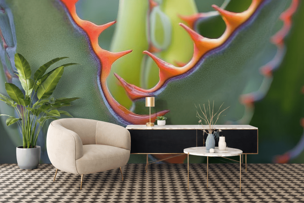 Cacti Fractals