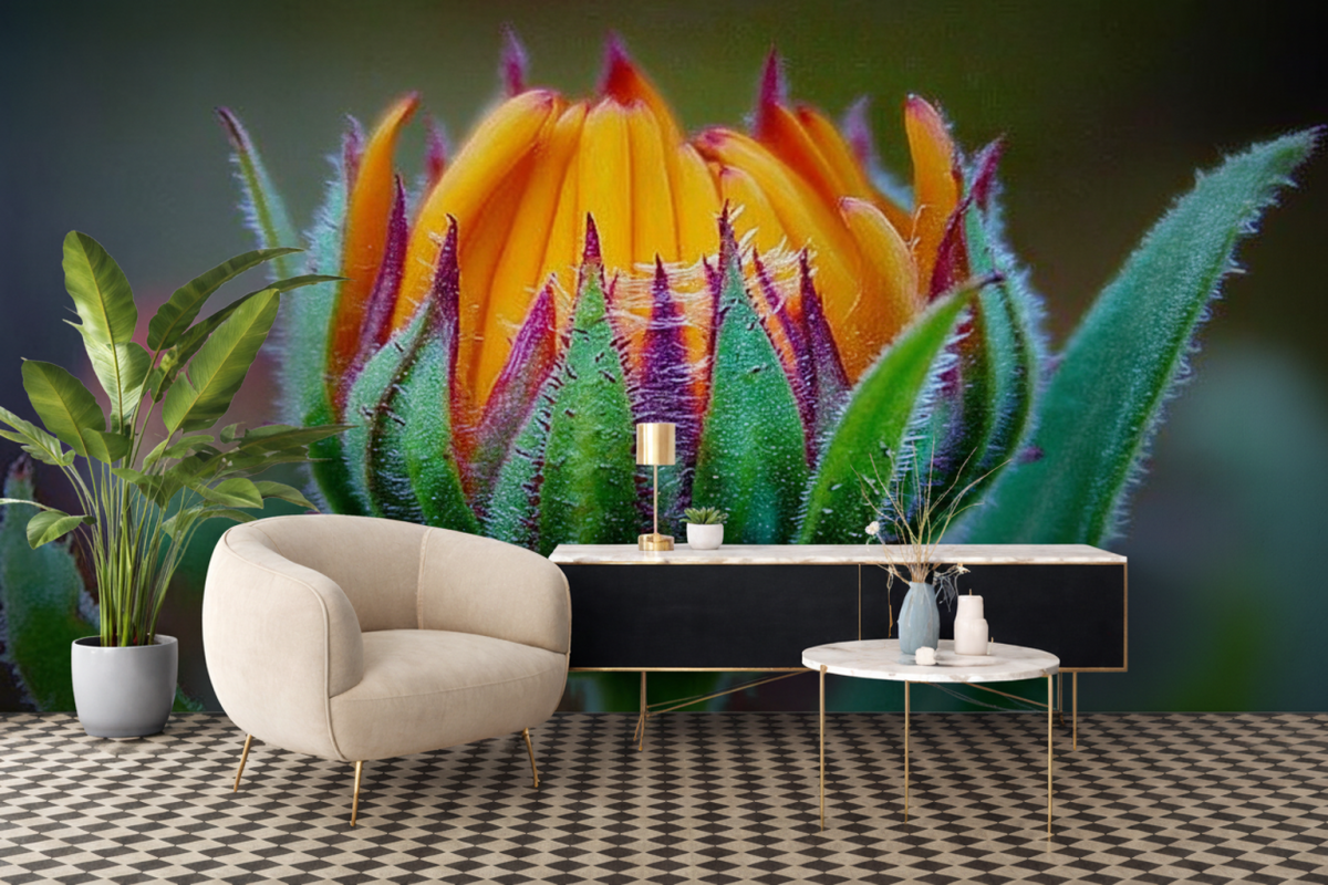 Desert Bloom