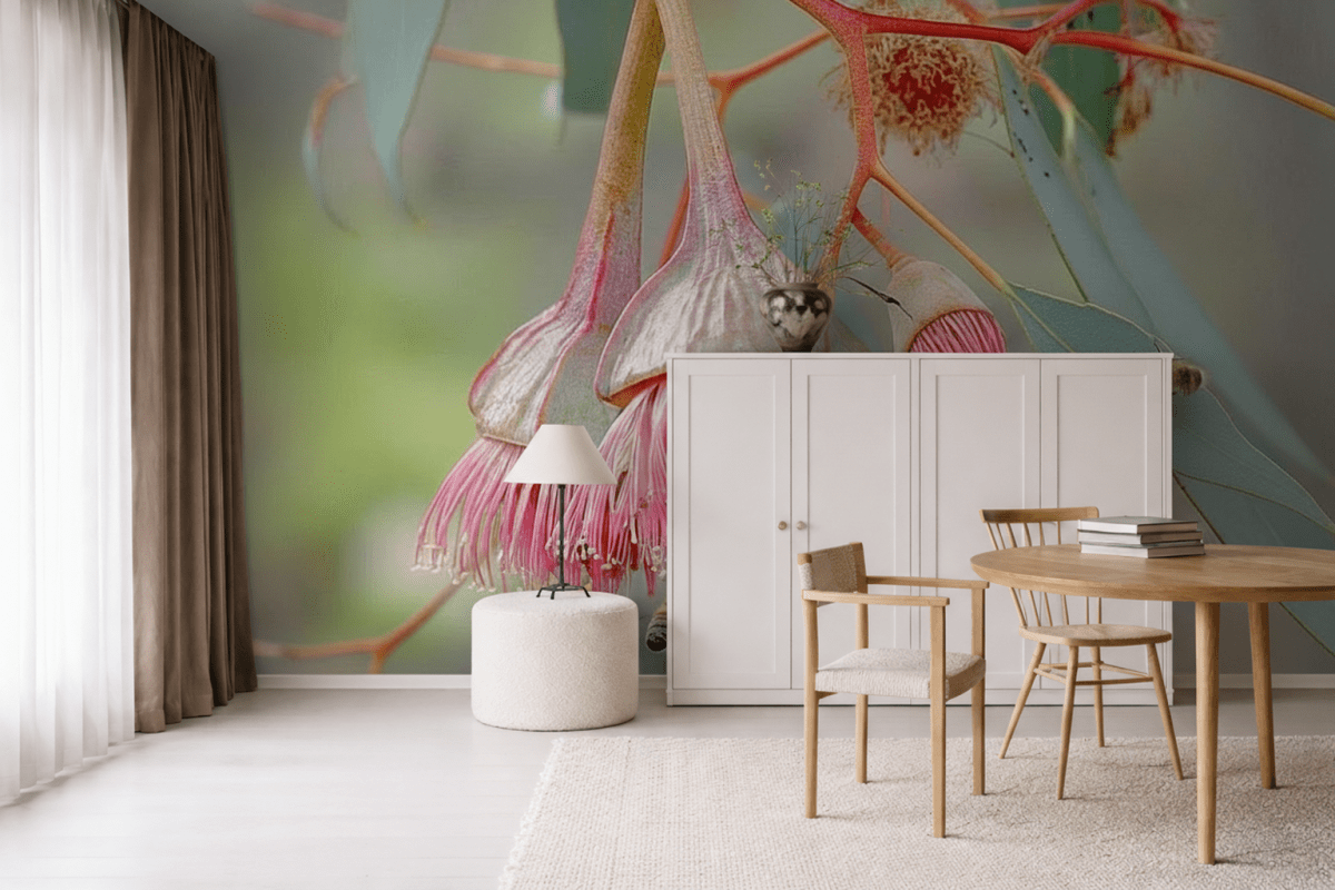 Eucalyptus Bloom