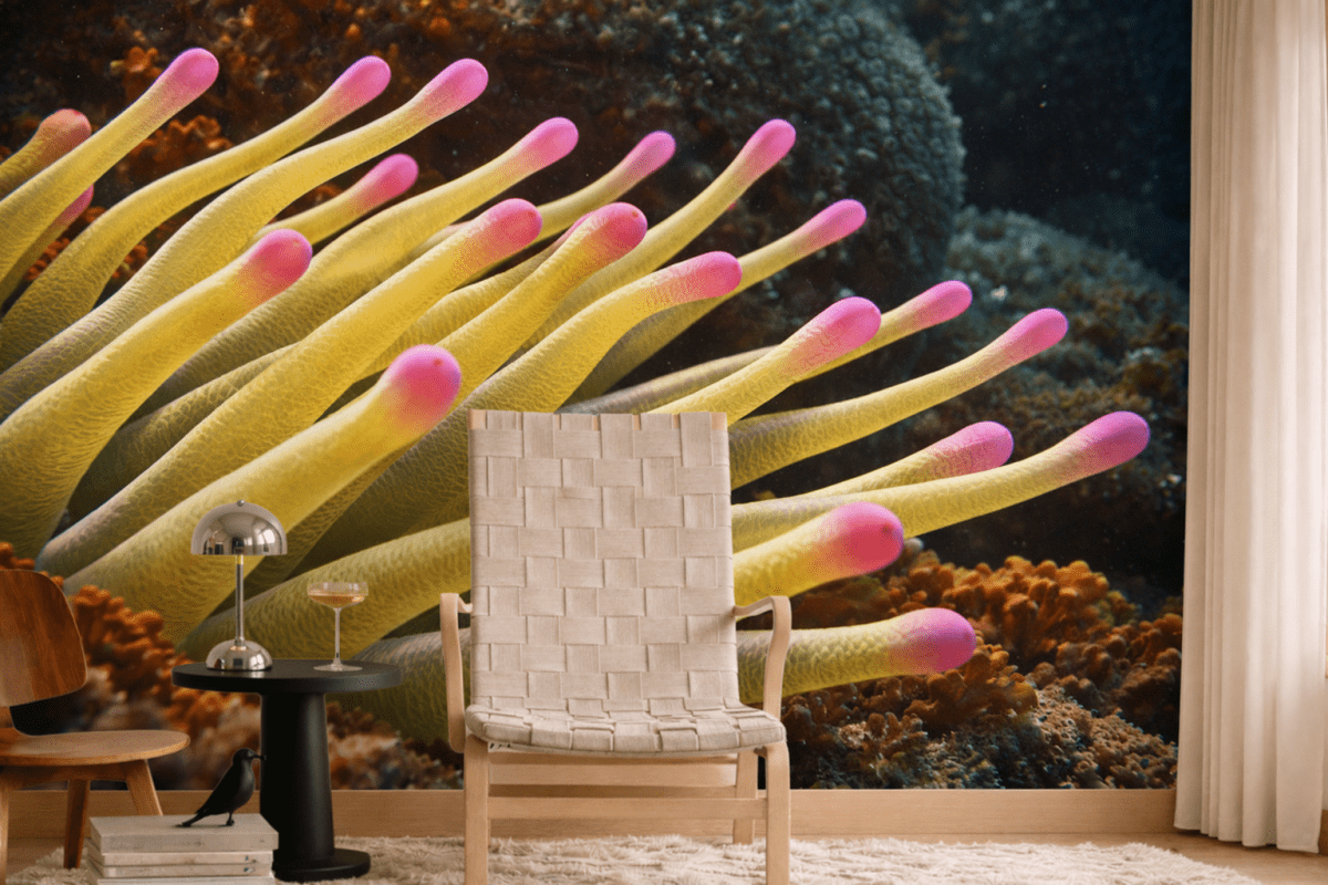 Fuchsia Tentacles