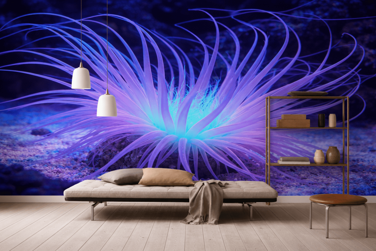 Glimmering Tentacles