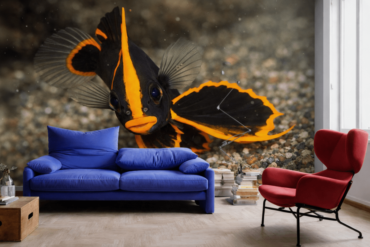 Striking Flare Mural