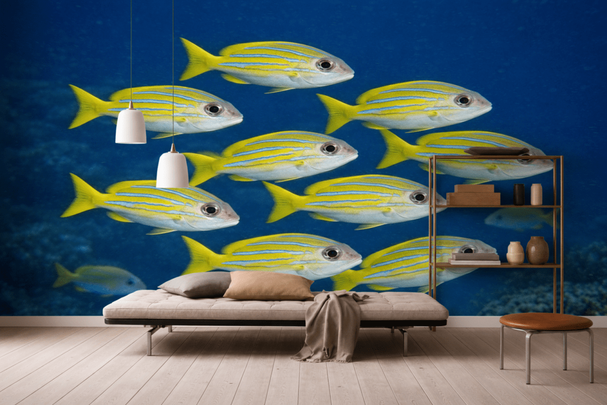 Tidal Schooling