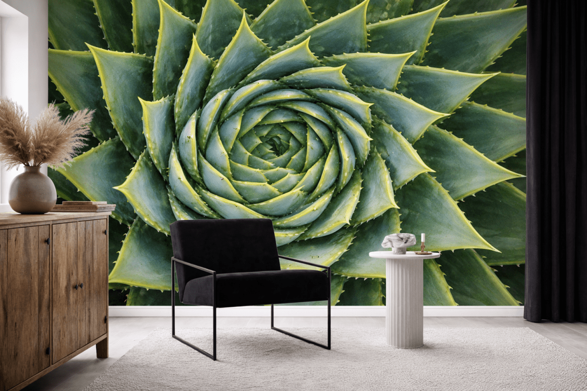 Spiral Cactus Mural