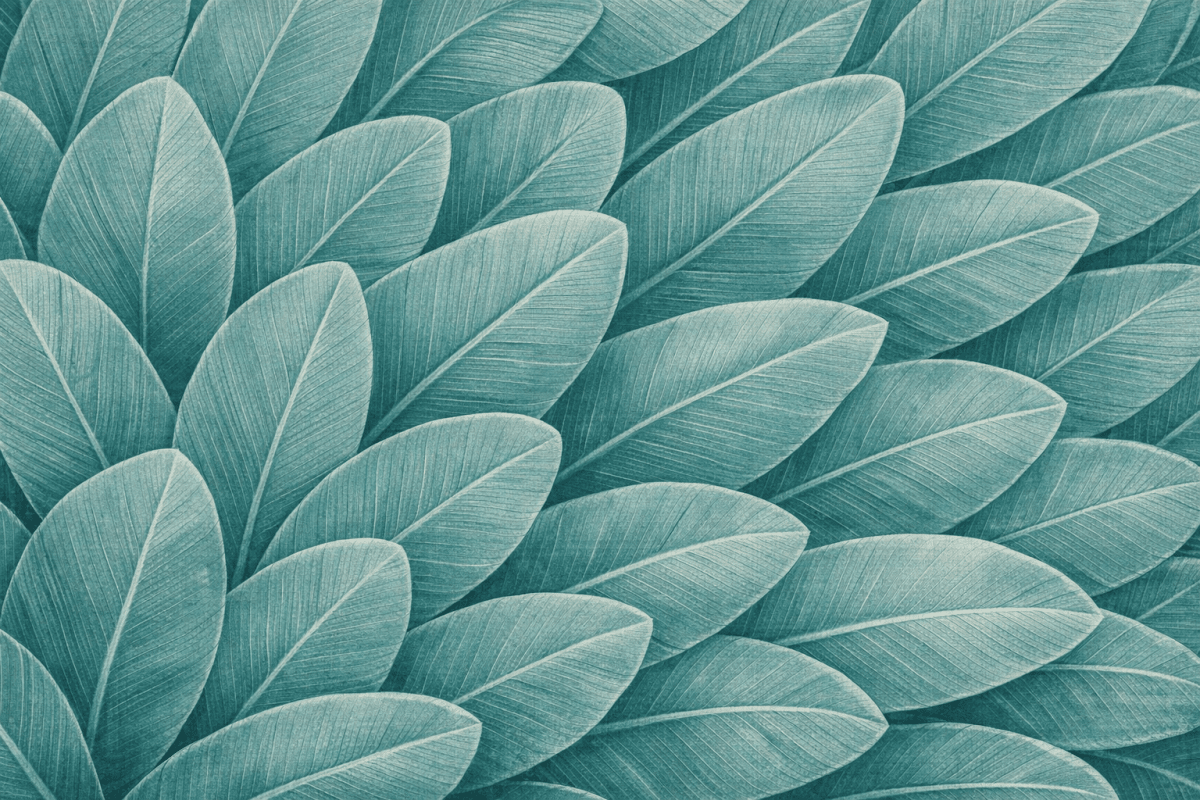 Verdant Veil Ii
