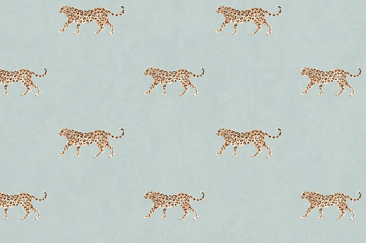 Cheetah Prowl