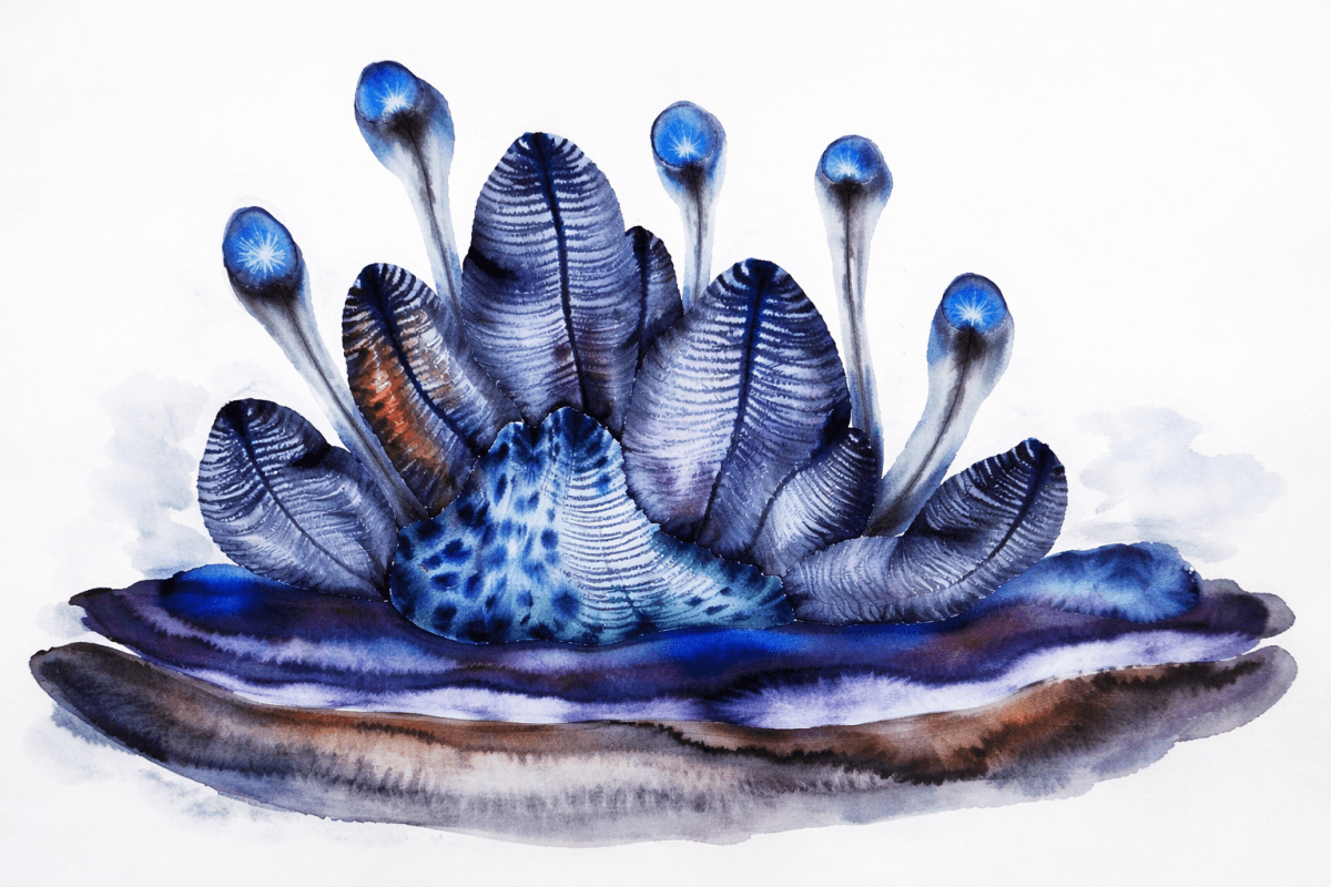 Oceanic Flora
