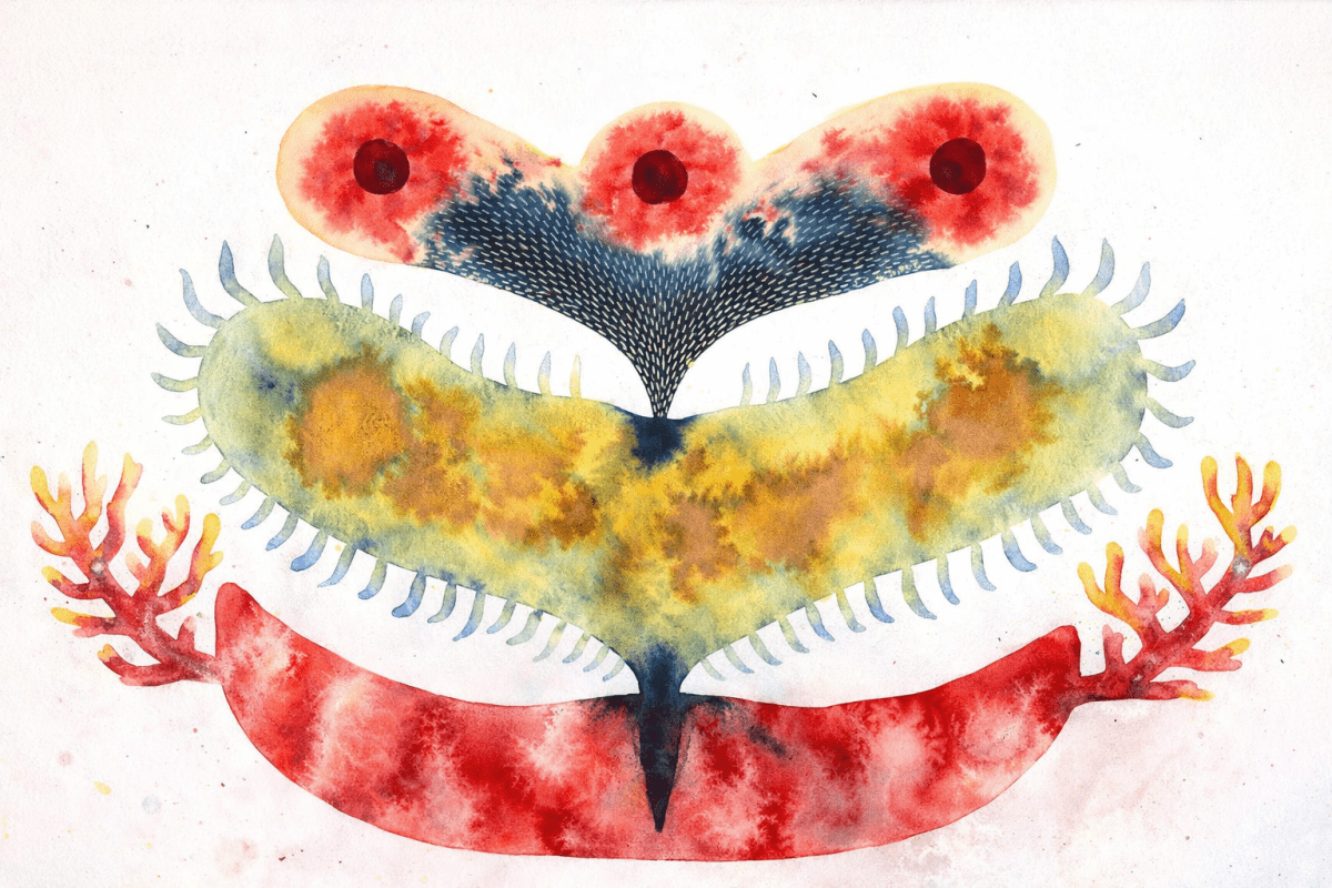 Coral Symphony