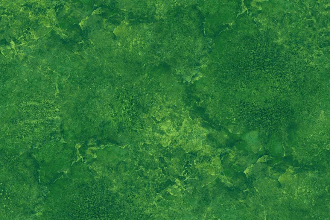 Verdant Canvas Ii