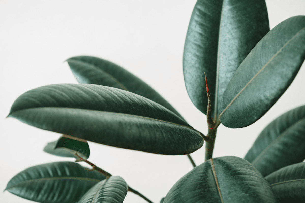Porcelain Leaf Tapestry