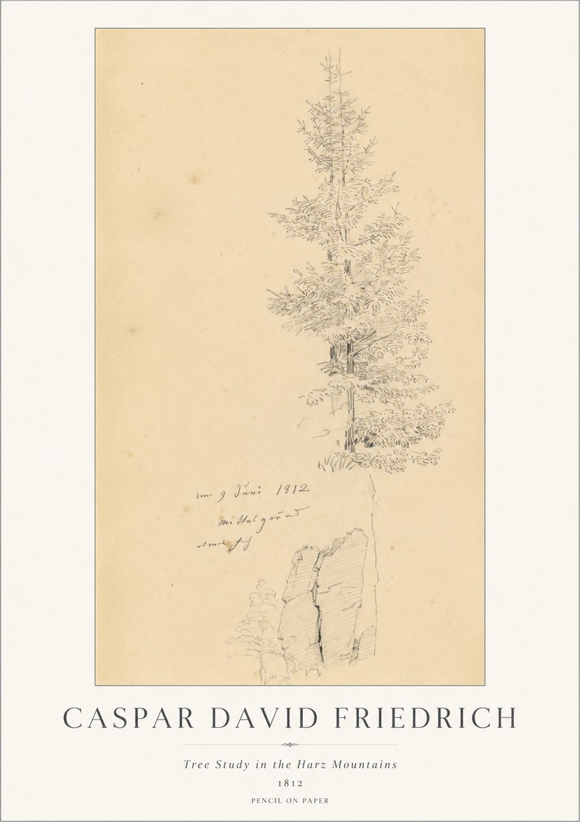Caspar David Friedrich Tree Study in the Harz Mountains No1 - Póster