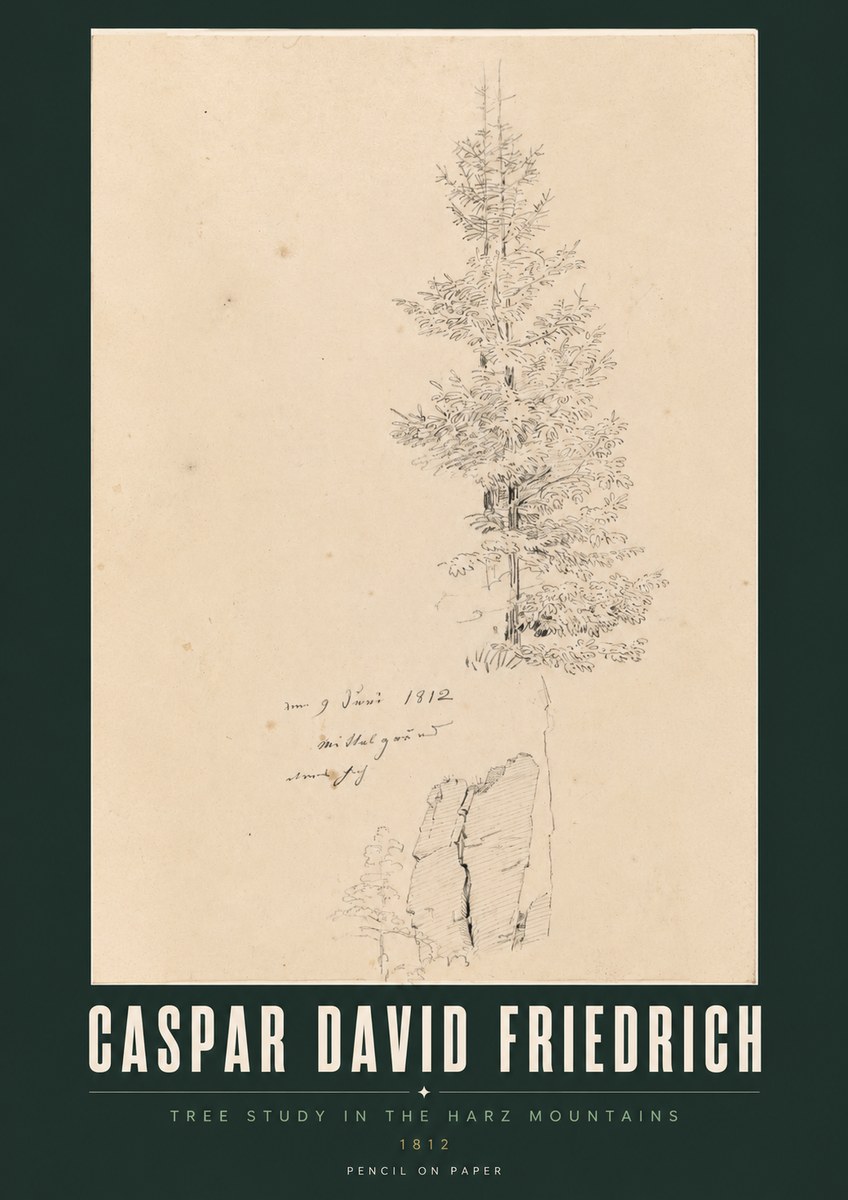 Caspar David Friedrich Tree Study in the Harz Mountains No2 - Póster