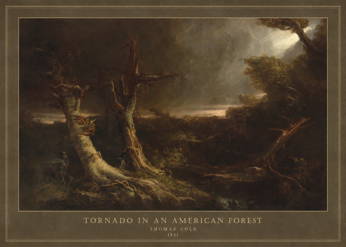Thomas Cole Tornado in an American Forest No4 - Póster