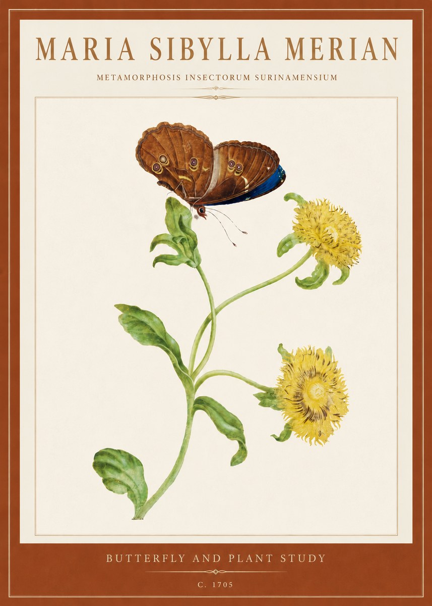 Maria Sibylla Merian Butterfly and Plant Study No5 - Póster