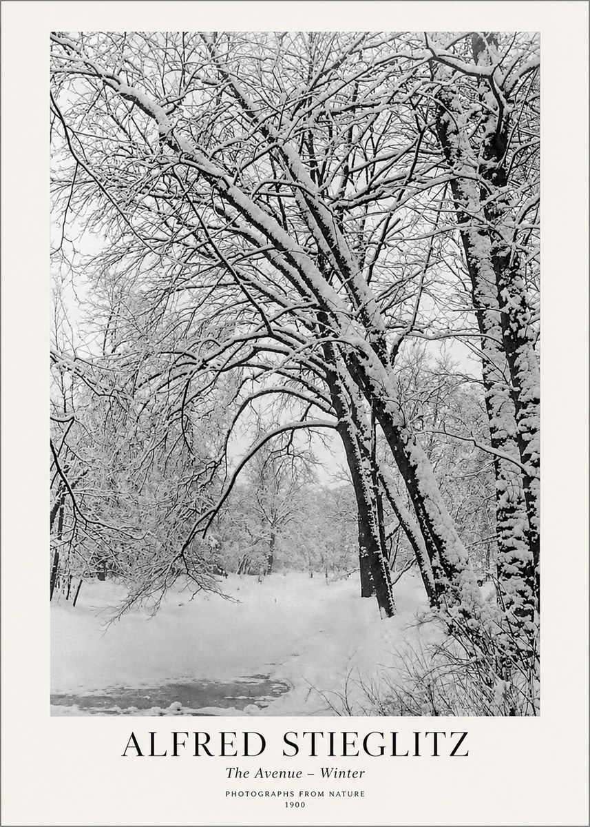 Alfred Stieglitz The Avenue – Winter No1 - Póster