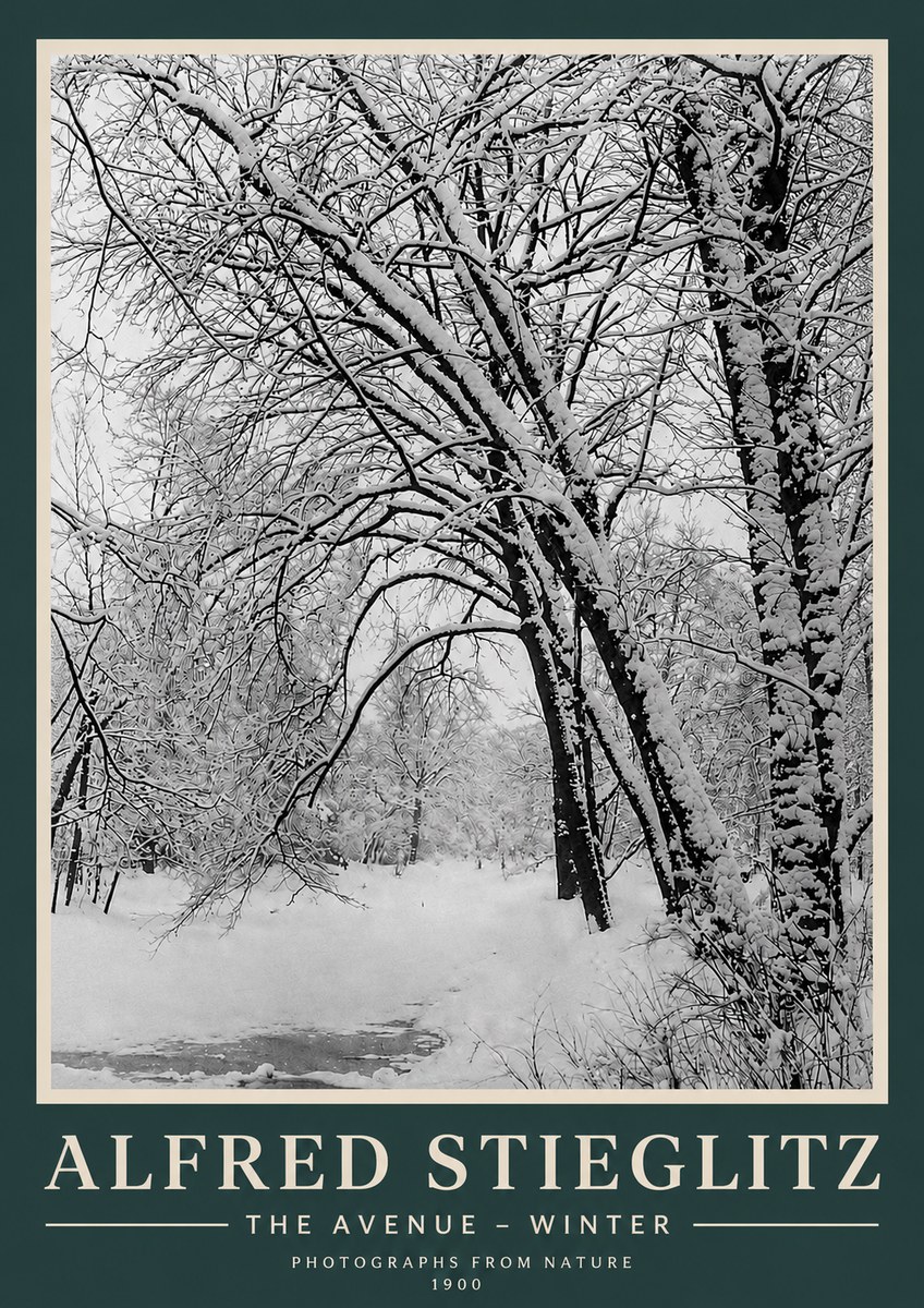Alfred Stieglitz The Avenue – Winter No3 - Póster
