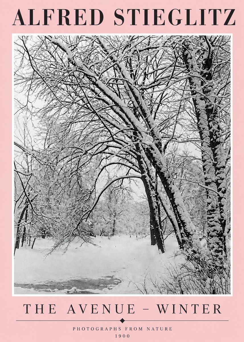 Alfred Stieglitz The Avenue – Winter No4 - Póster