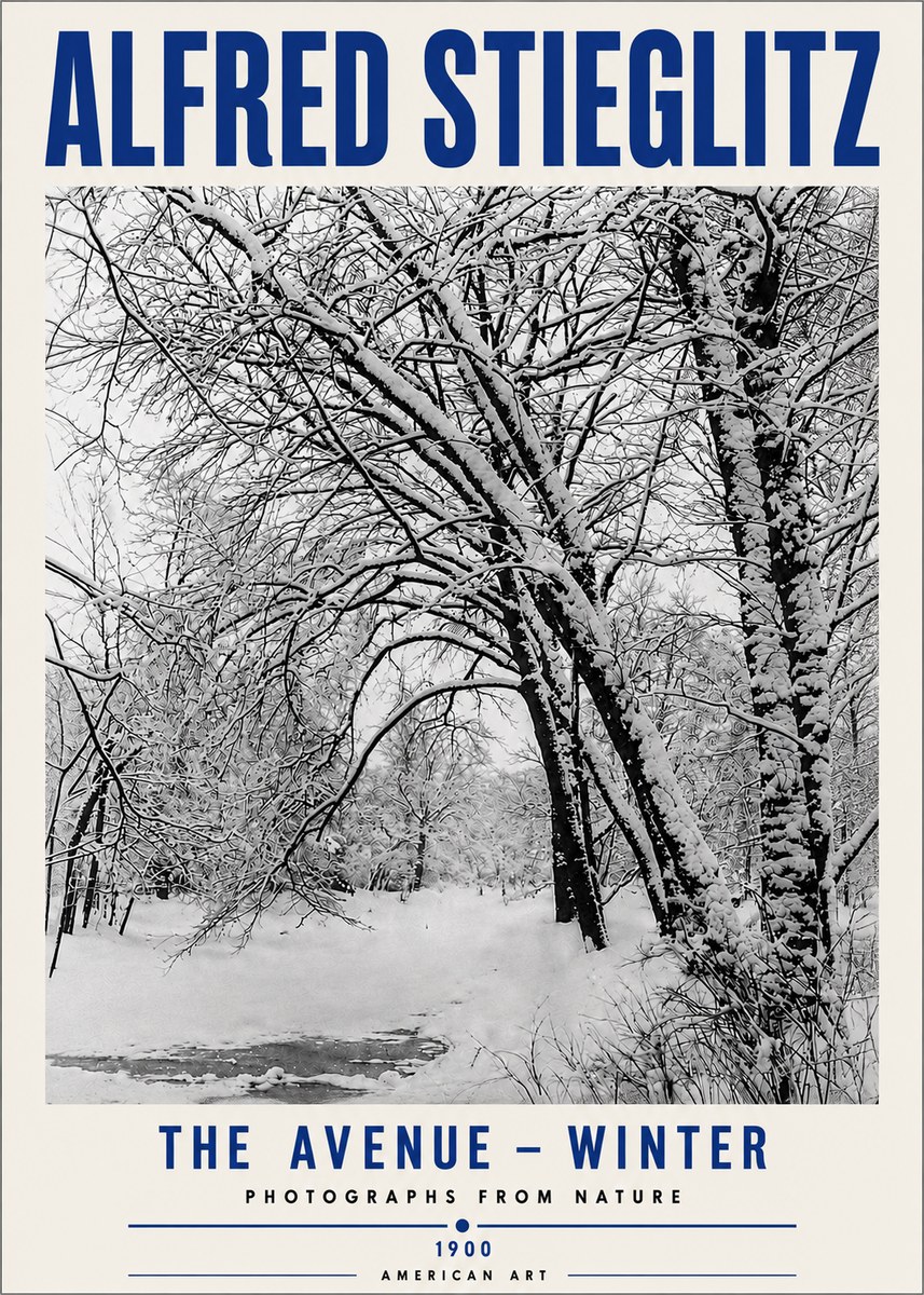 Alfred Stieglitz The Avenue – Winter No5 - Póster