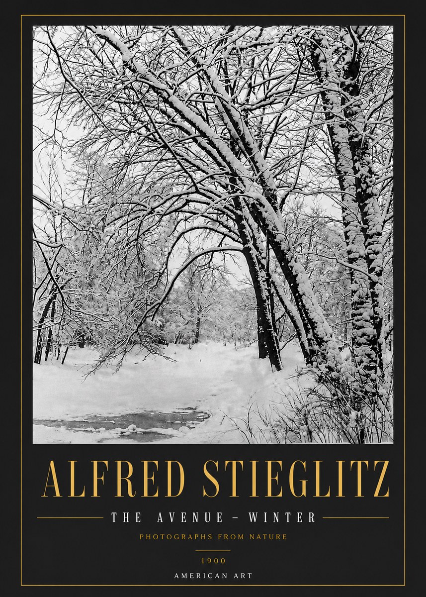 Alfred Stieglitz The Avenue – Winter No6 - Póster