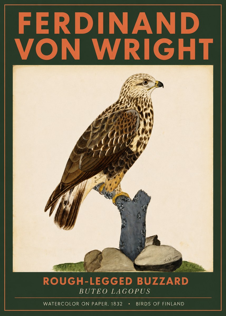 Ferdinand von Wright Rough-legged Buzzard No2 - Póster