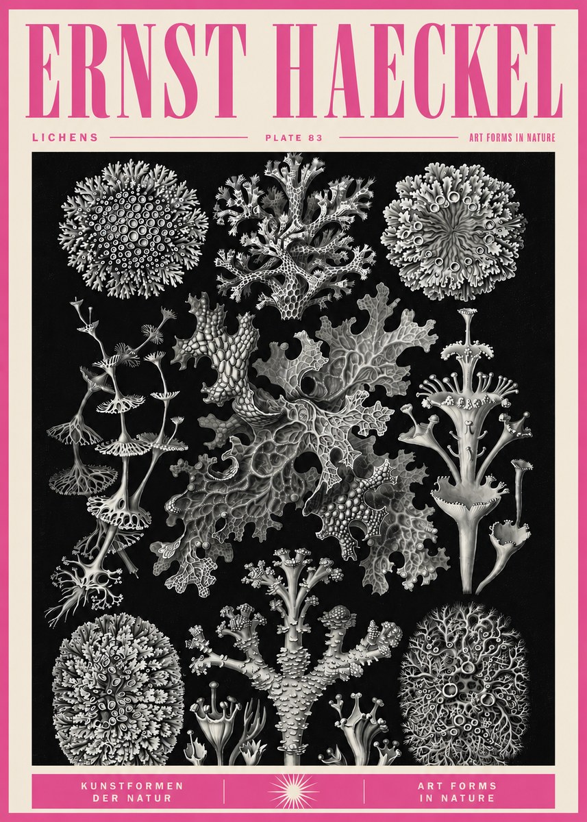 Ernst Haeckel Lichens - Plate 83 No5 - Póster