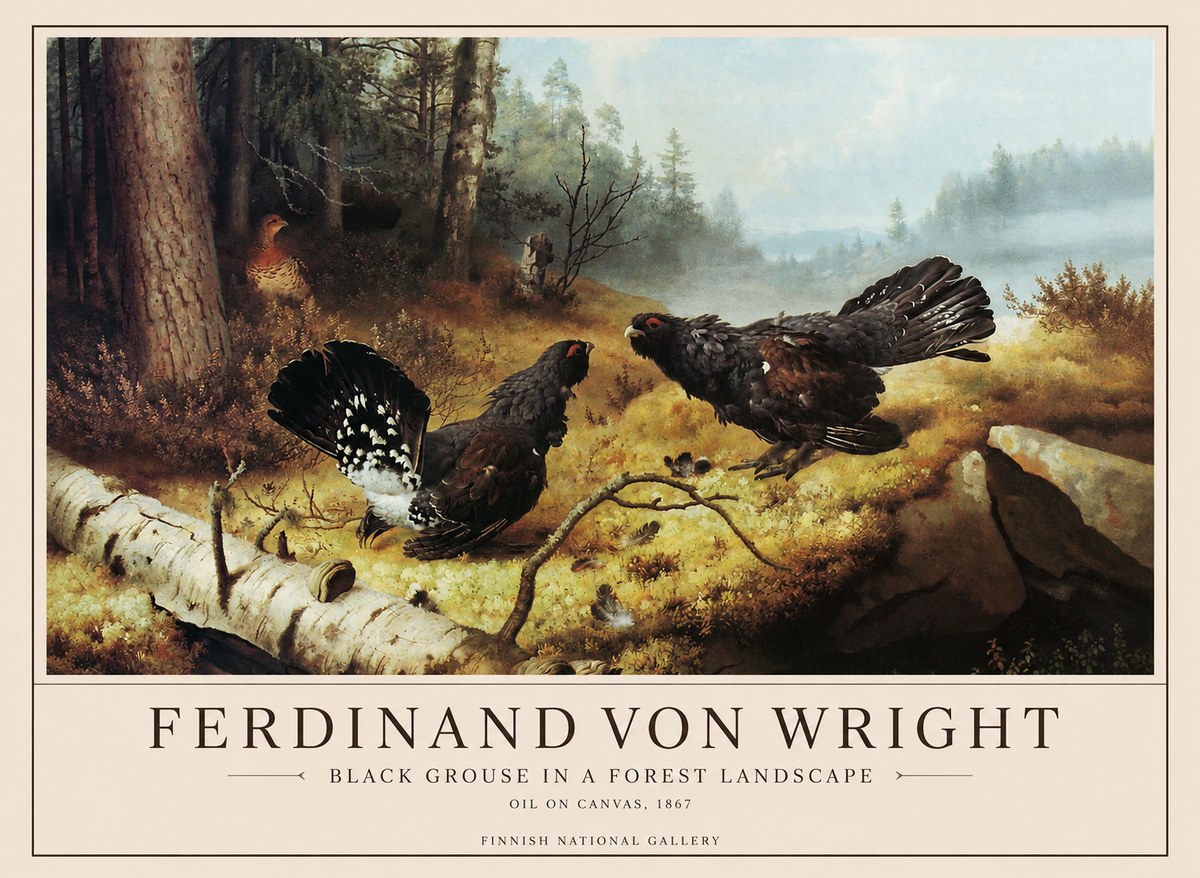 Ferdinand von Wright Black Grouse in a Forest Landscape No1 - Póster