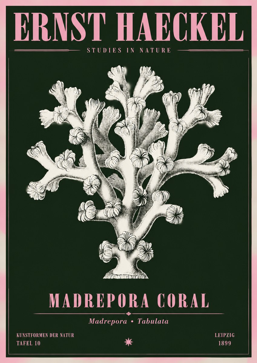 Ernst Haeckel Corallium Rubrum I No5 - Póster