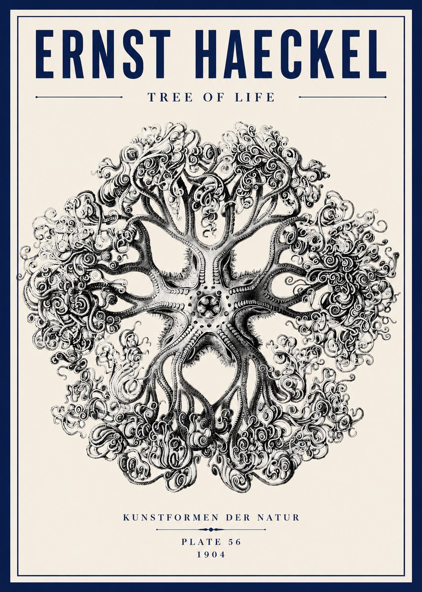 Ernst Haeckel Tree-like Organism No6 - Póster