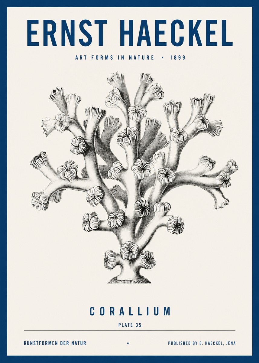 Ernst Haeckel Corallium Rubrum II No4 - Póster