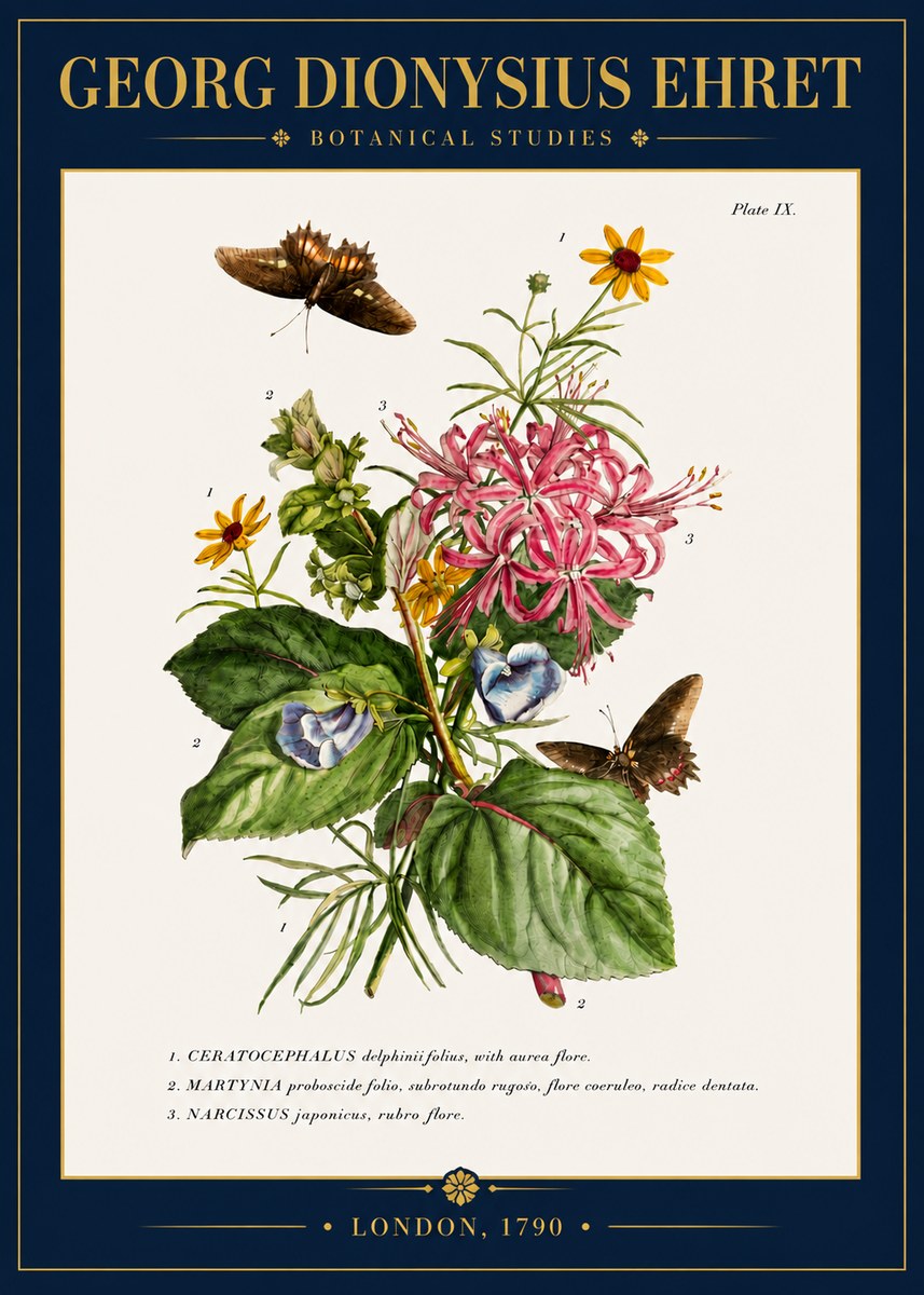 Georg Dionysius Ehret Botanical Studies - Plate Ix No4 - Póster