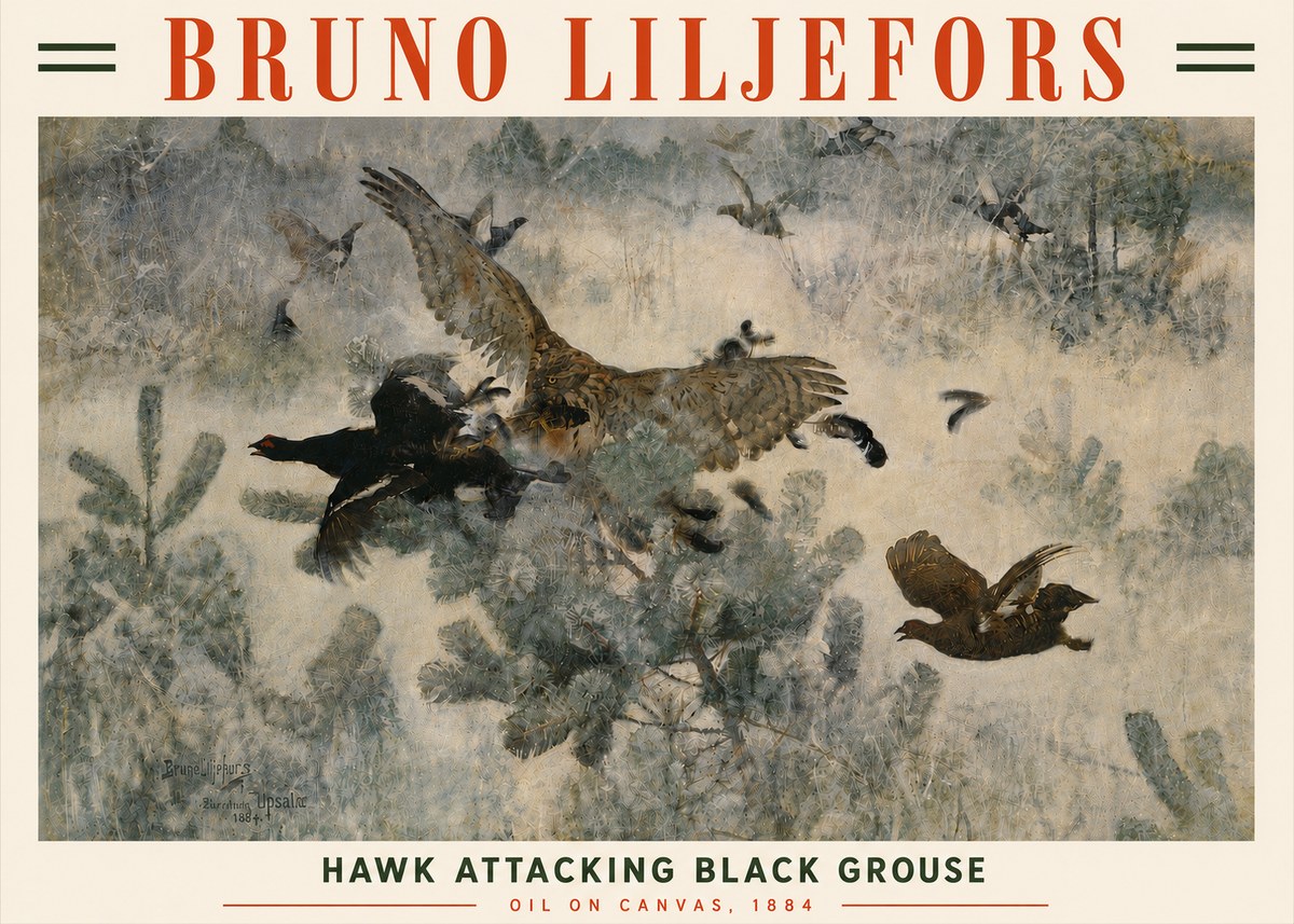 Bruno Liljefors Hawk Attacking Black Grouse No6 - Póster