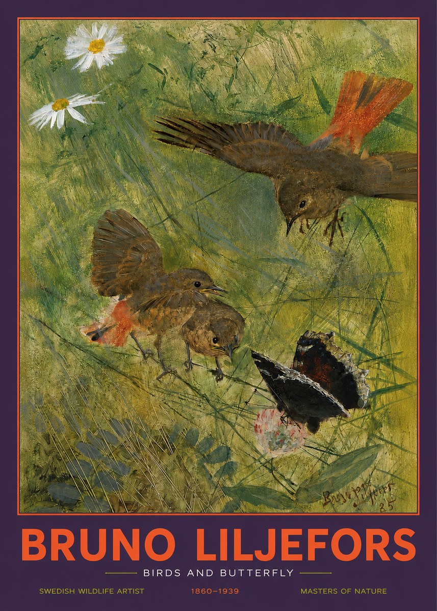 Bruno Liljefors Birds and Butterfly No2 - Póster