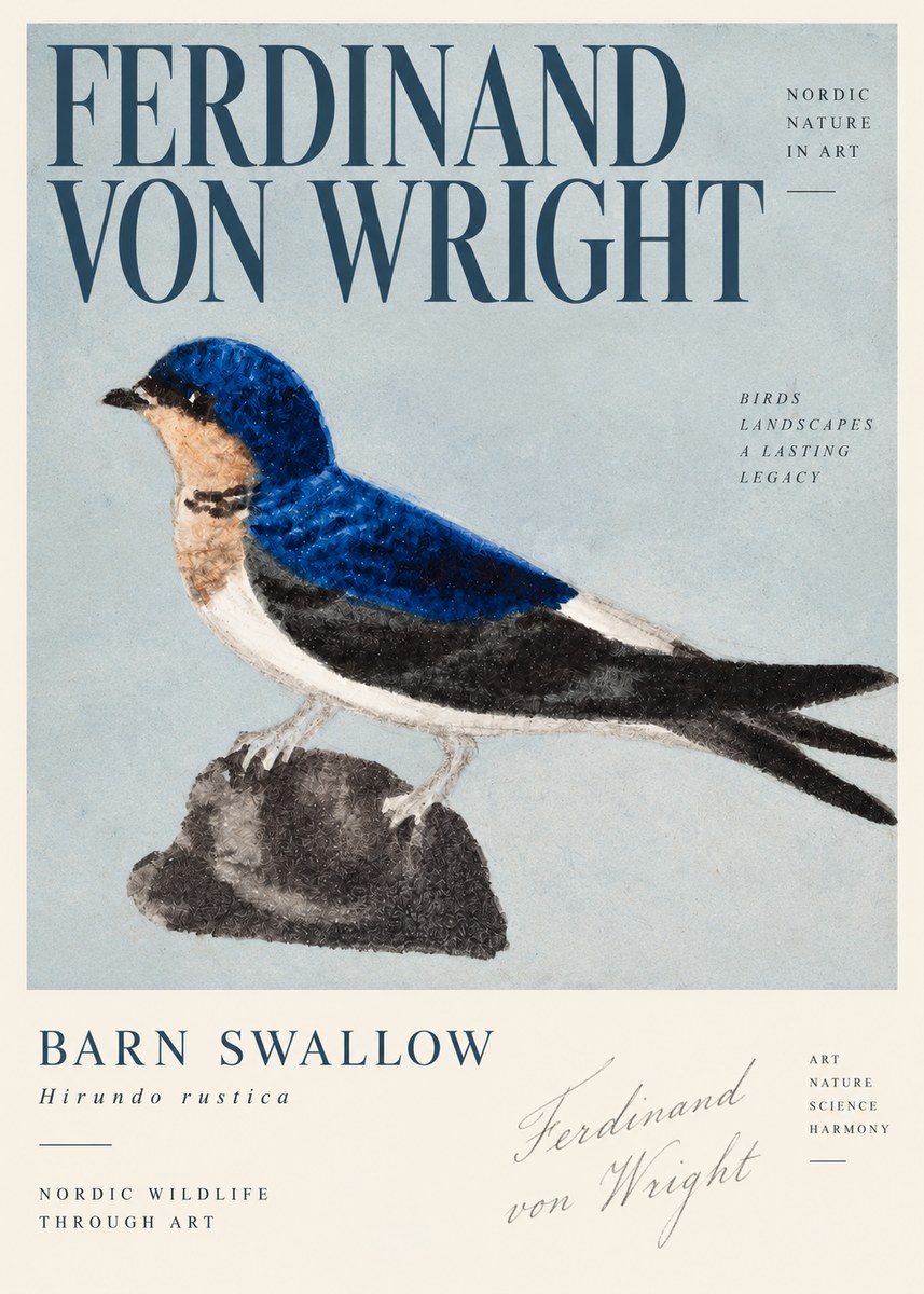 Ferdinand von Wright Swallow (Hirundo Rustica) No4 - Póster