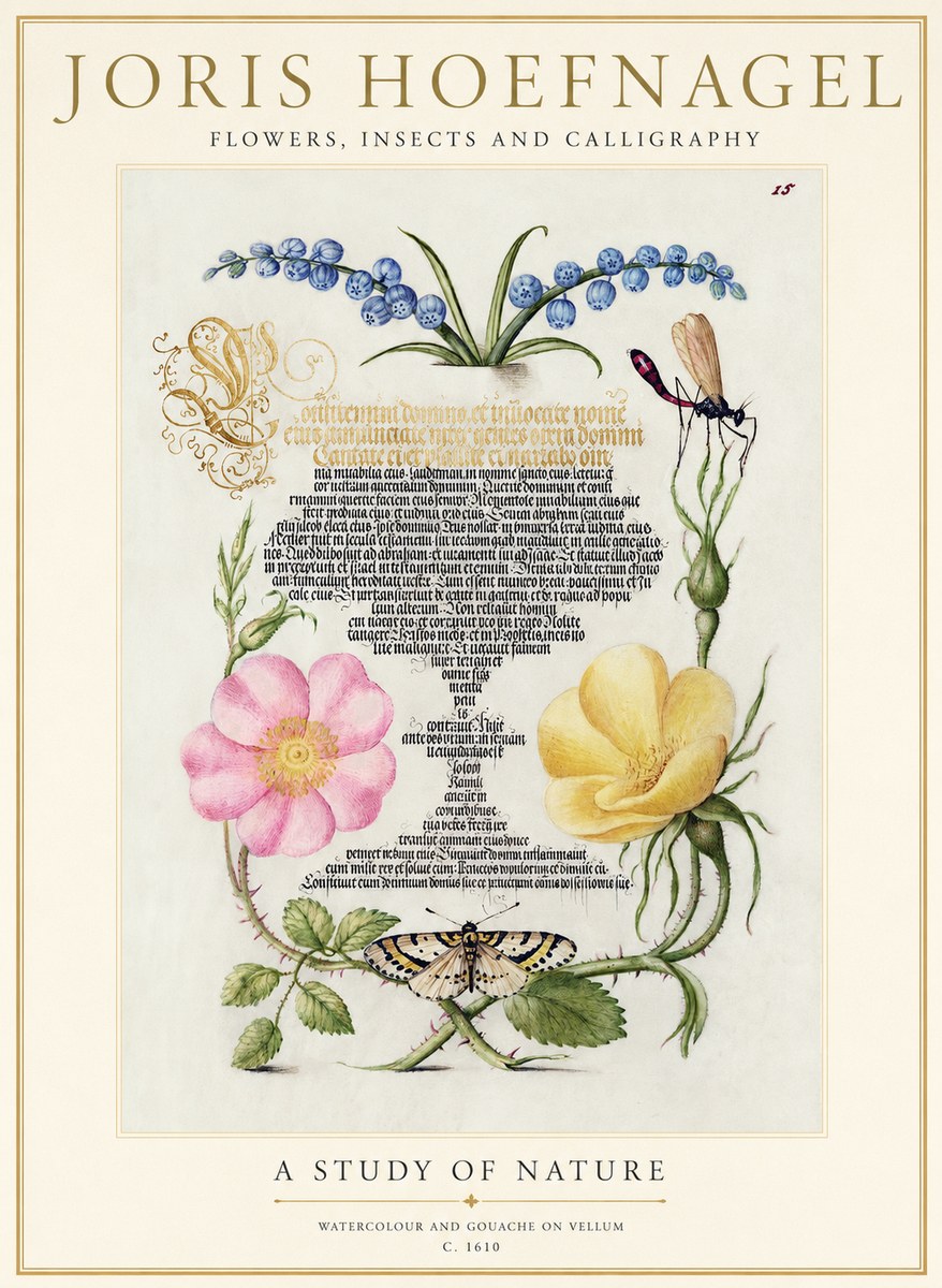 Joris Hoefnagel A Study of Nature I No1 - Póster