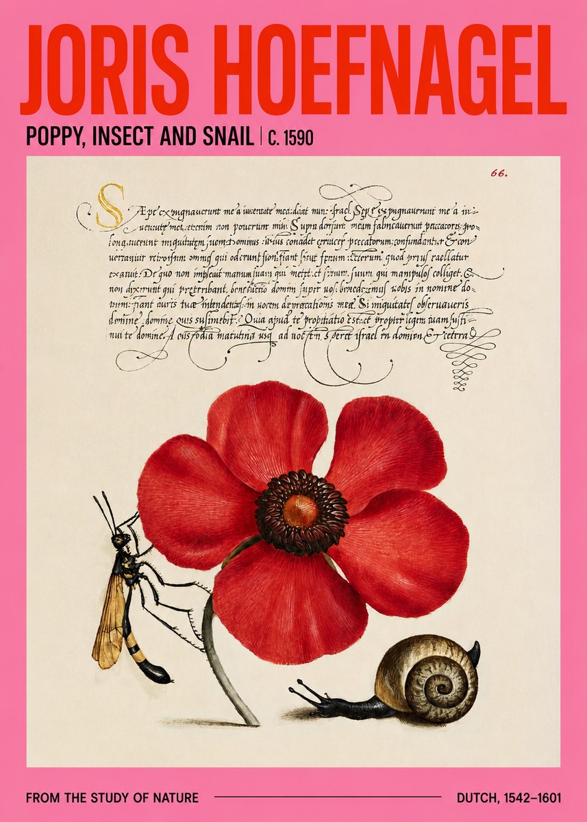 Joris Hoefnagel Poppy, Wasp & Snail No4 - Póster